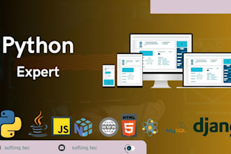 develop python web apps ai ml models, and automation scripts