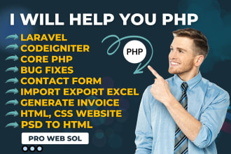 develop php laravel and codeigniter web applications