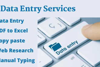 do accurate data entry, manual typing, web research, PDF to excel
