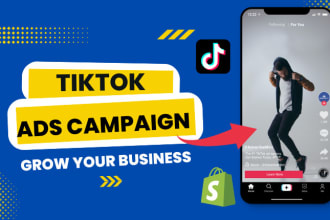 create, run and manage tiktok ads campaign, tik tok ads, tiktok advertising