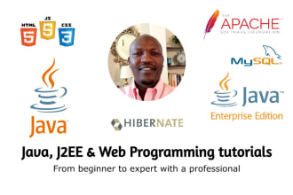 tutor java, j2ee, and web programming online