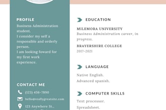 write, build, rewrite, design and edit your resume, CV