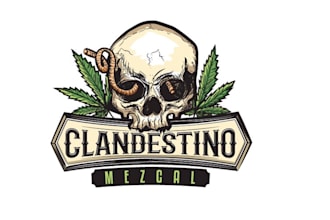 provide modern high quality skull logo in high definition