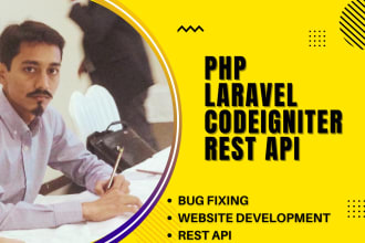 php laravel website, codeigniter website design, API developer