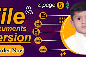 accurate data entry and file conversion with 5 years experience