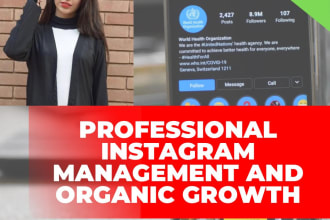 professionally manage and promote your instagram page