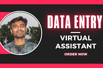 be perfect data entry expert
