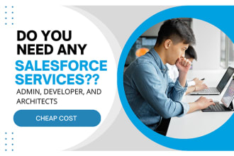 provide salesforce admin, developer, and architect salesforce services