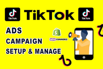 run and manage tiktok ads campaign, tik tok ads, tiktok advertising