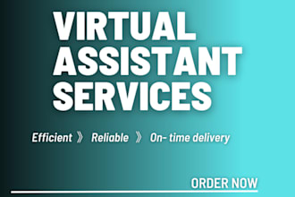 be your professional administrative virtual assistant