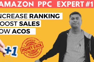 monthly manage amazon PPC advertising campaigns with custom analytical dashboard