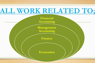 do accounting, finance and economics projects