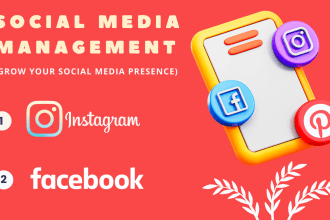 manage and grow your instagram and facebook page organically