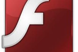 design a animated logo for you in flash