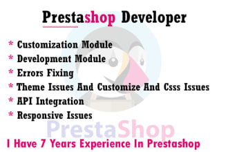 help you customize your prestashop website and module