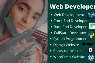 be your professional python and django developer