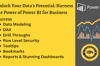 create a professional power bi dashboard and reports from any data source