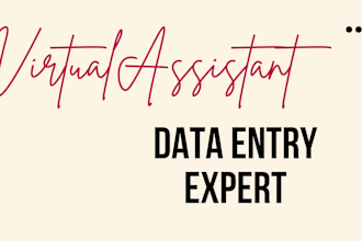 provide accurate data entry, web research, and metadata tracking