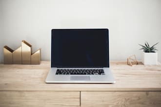 perform excel data entry, formatting and copy past