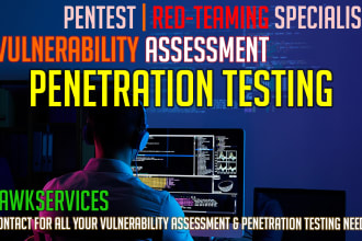 do expert vulnerability assessment and penetration testing