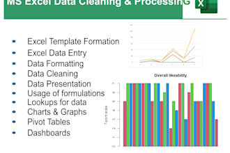 preprocess , visualize and analyze data using excel