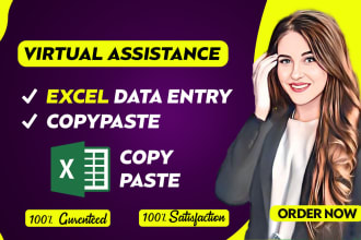 do excel data entry, copypaste, and any type of data entry