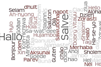 translate any languages to your language