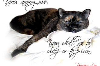 grant you permission to sleep