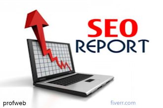 create a detailed seo report for your site
