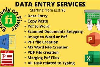 be your expert data entry VA
