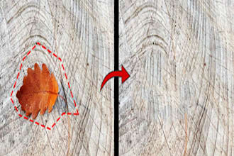 remove anything from your photos