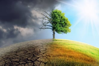 assist with natural, forest resource management and biodiversity