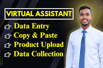 do data entry work in excel spreadsheets or wordpress