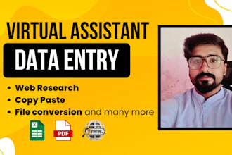do data entry, copy paste, finding emails address, key contacts info