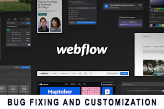 fix webflow bugs and design issues and customization