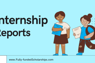 assist in writing internship reports