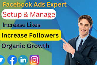 fb ads campaign, fb marketing, advertising,  linkedin ads