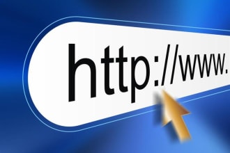 review your website and give advice