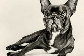 draw pet portrait pencil sketch dog, cat, bird