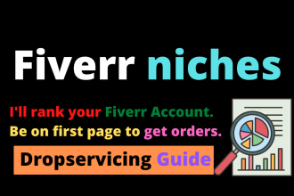 give you 3 niches to start the work on fiverr dropservicing