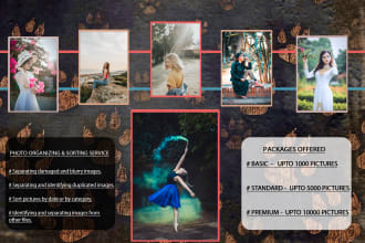 organize and sort your photos or files professionally