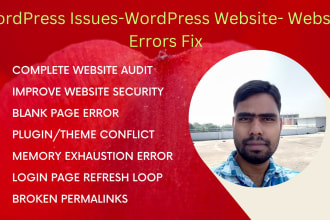 fix wordpress issues, website SEO, wordpress errors, bug fix