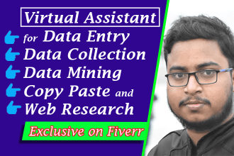 be your virtual assistant for data entry, copy paste and web research