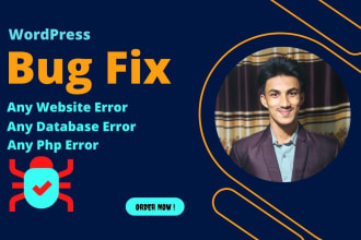 fix wordpress issues, bugs, errors, security, php, CSS, elementor fix