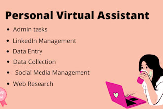 be your virtual assistant for data entry and web research