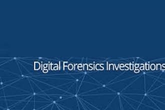 do digital forensics evidence analysis and document report