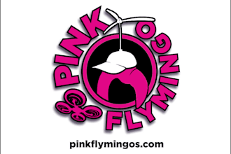 design a professional 2d 3d brand logo design with copyrights