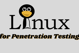teach you kali linux for penetration testing