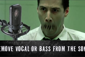 remove vocal or bass from the song