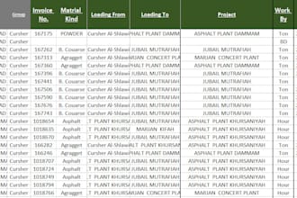 make data sheets and google sheet exel work and accounting